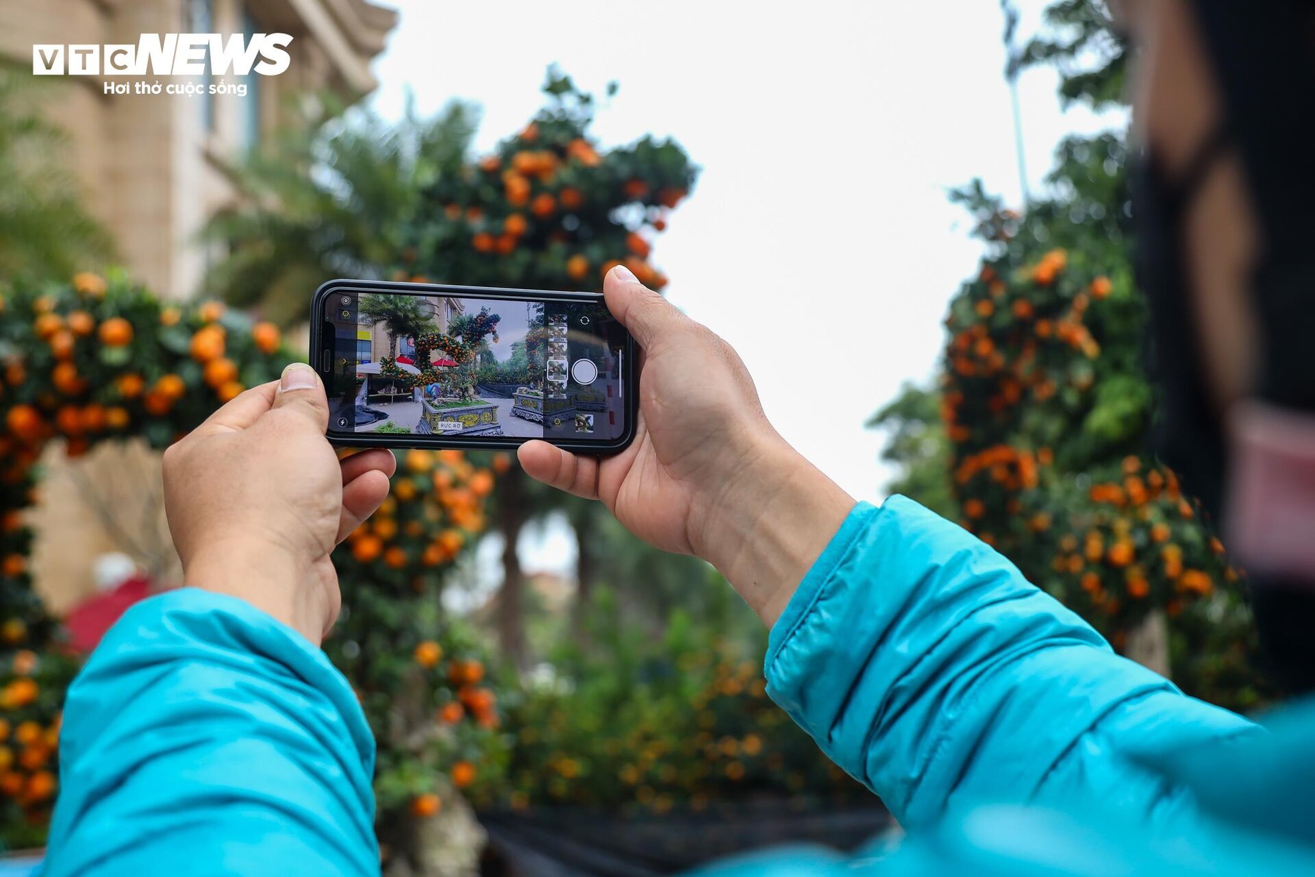 Cặp quất hình rồng giá trăm triệu khoe dáng, chờ khách đại gia xuống tiền mua - Ảnh 10