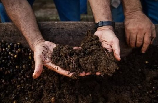 Mặt hàng này từ Nga liên tục đổ bộ Việt Nam với giá rẻ cực hấp dẫn, Việt Nam chớp cơ hội 'vàng' chi hàng trăm triệu USD gom hàng - Ảnh 1