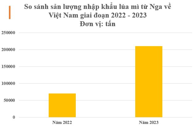 Nga ưu ái xuất sang Việt Nam một mặt hàng cả thế giới đang ‘thèm khát’: Giá rẻ cực hấp dẫn, Trung Quốc cũng phải tìm đến để mua hàng - Ảnh 2