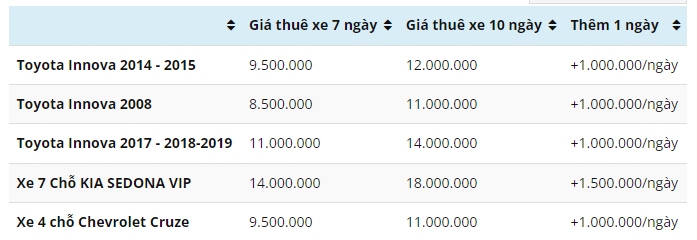 Dịch vụ cho thuê xe tự lái “cháy hàng” dù chưa đến Tết - Ảnh 3