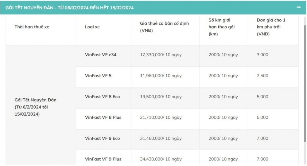 Dịch vụ cho thuê xe tự lái “cháy hàng” dù chưa đến Tết - Ảnh 4