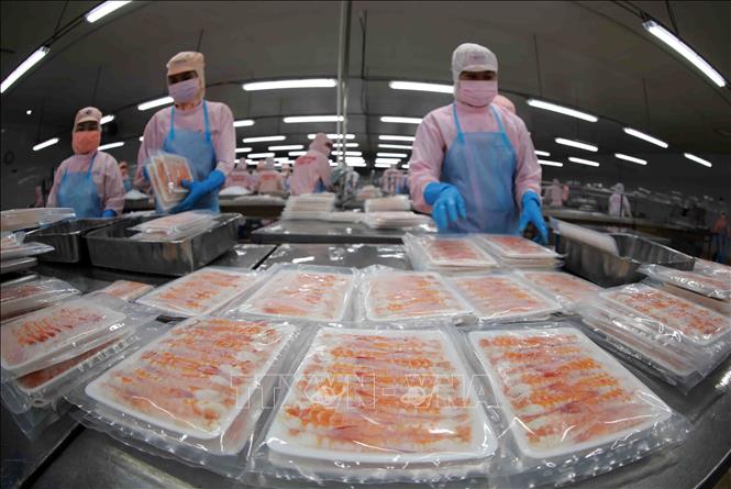 Hướng đi riêng cho tôm Việt - Ảnh 1