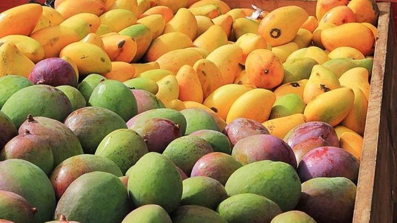 Loại quả cực phẩm của Việt Nam ngon hớp hồn: Giá mềm, Mỹ, Hàn Quốc đua nhập khẩu, tăng trưởng chỉ kém sầu riêng - Ảnh 2