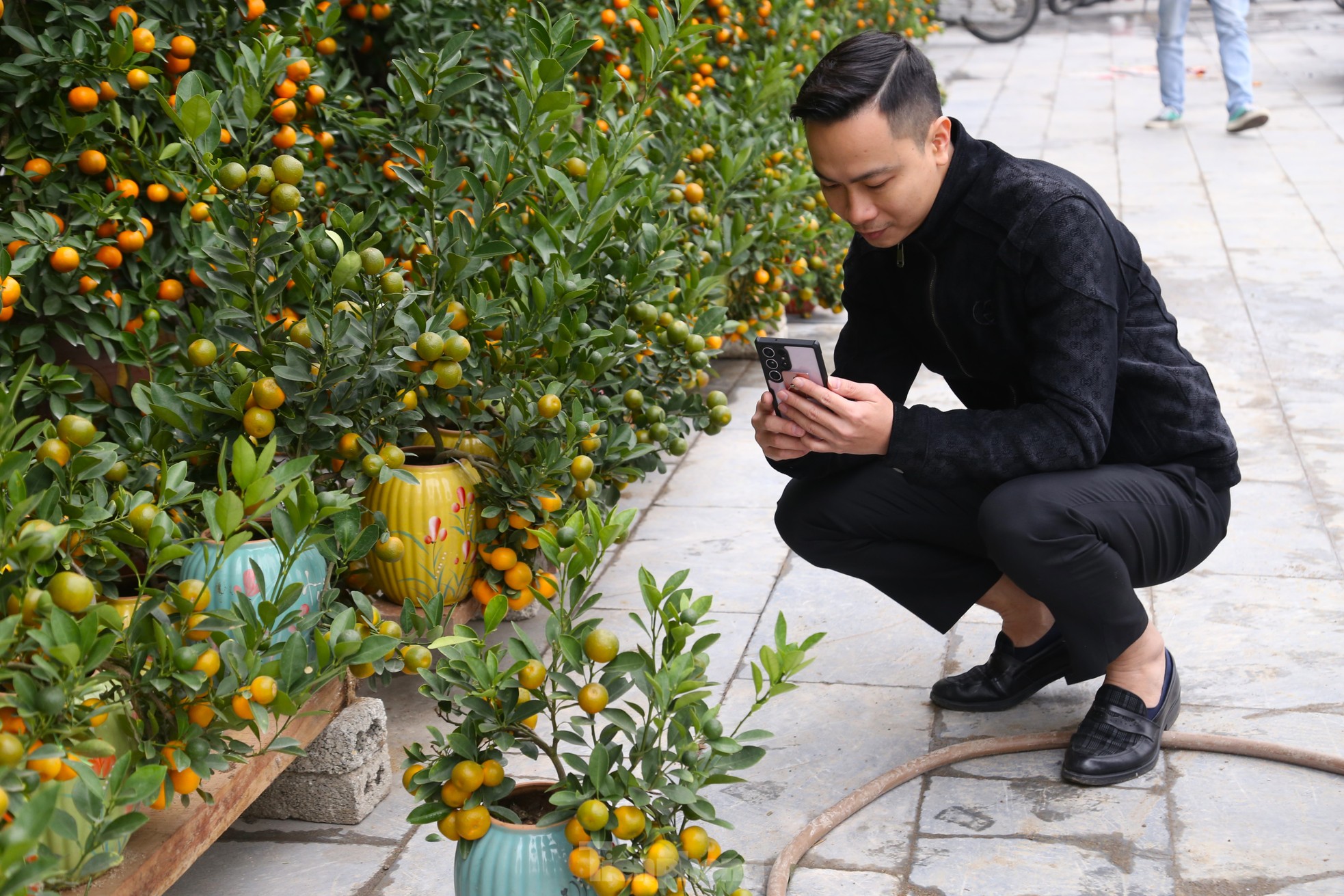 Đào, quất mini đắt khách dịp Tết Nguyên đán - Ảnh 7