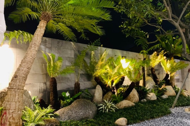 Loài cây mọc dại bờ tường nay làm cảnh giá tiền triệu được săn lùng dịp Tết - Ảnh 10