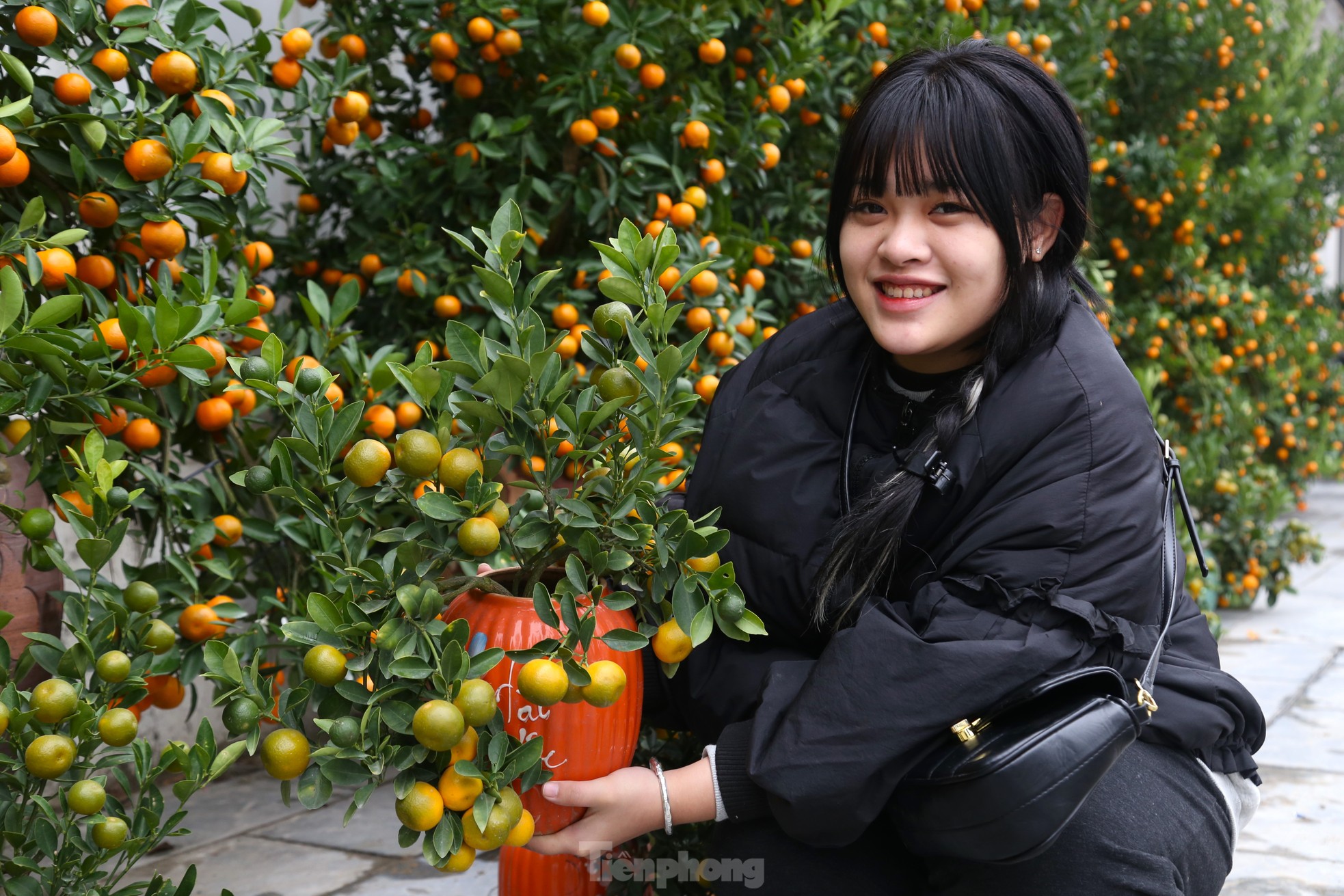 Đào, quất mini đắt khách dịp Tết Nguyên đán - Ảnh 4