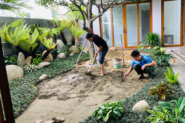 Loài cây mọc dại bờ tường nay làm cảnh giá tiền triệu được săn lùng dịp Tết - Ảnh 9