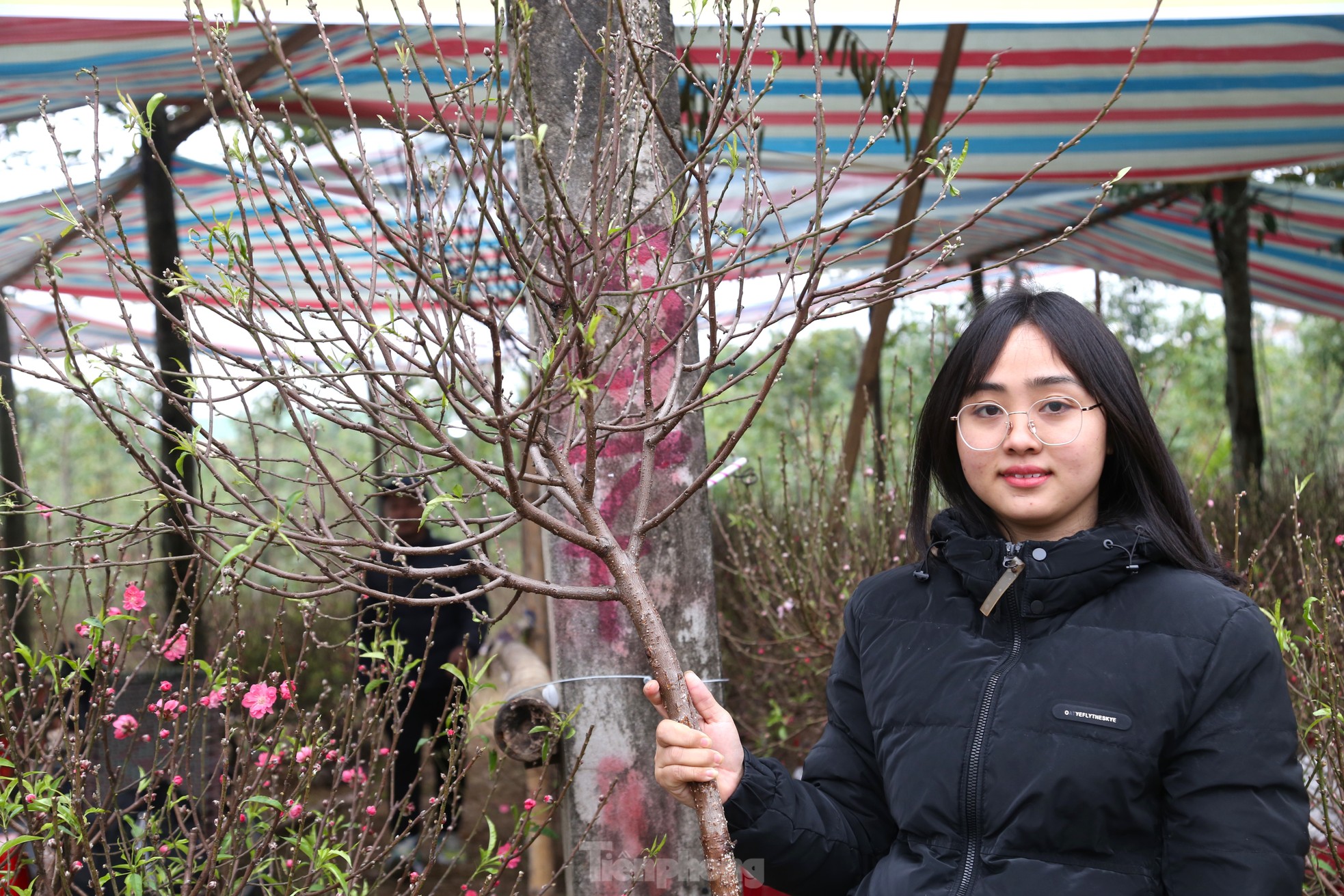 Đào, quất mini đắt khách dịp Tết Nguyên đán - Ảnh 12