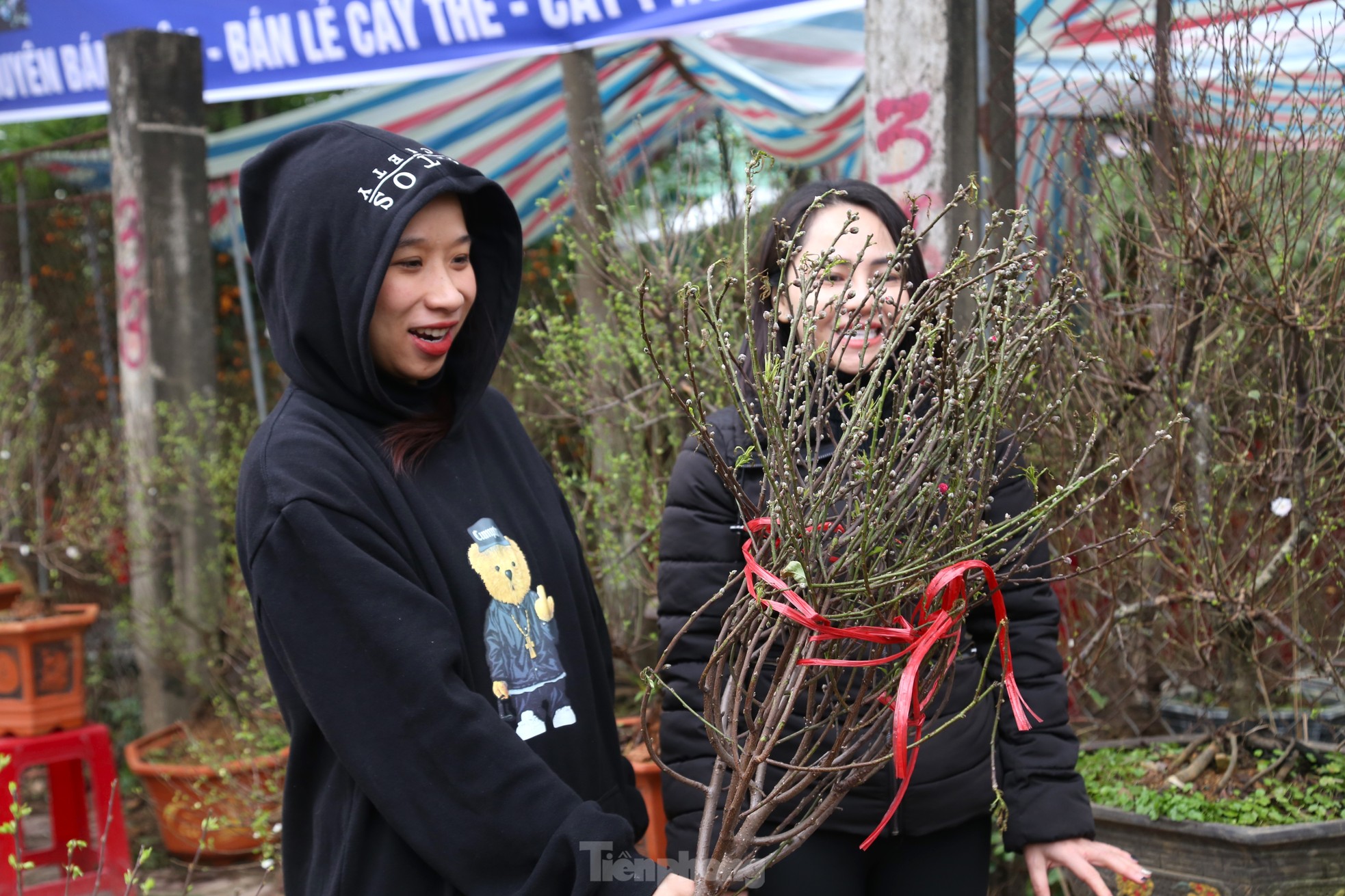 Đào, quất mini đắt khách dịp Tết Nguyên đán - Ảnh 9