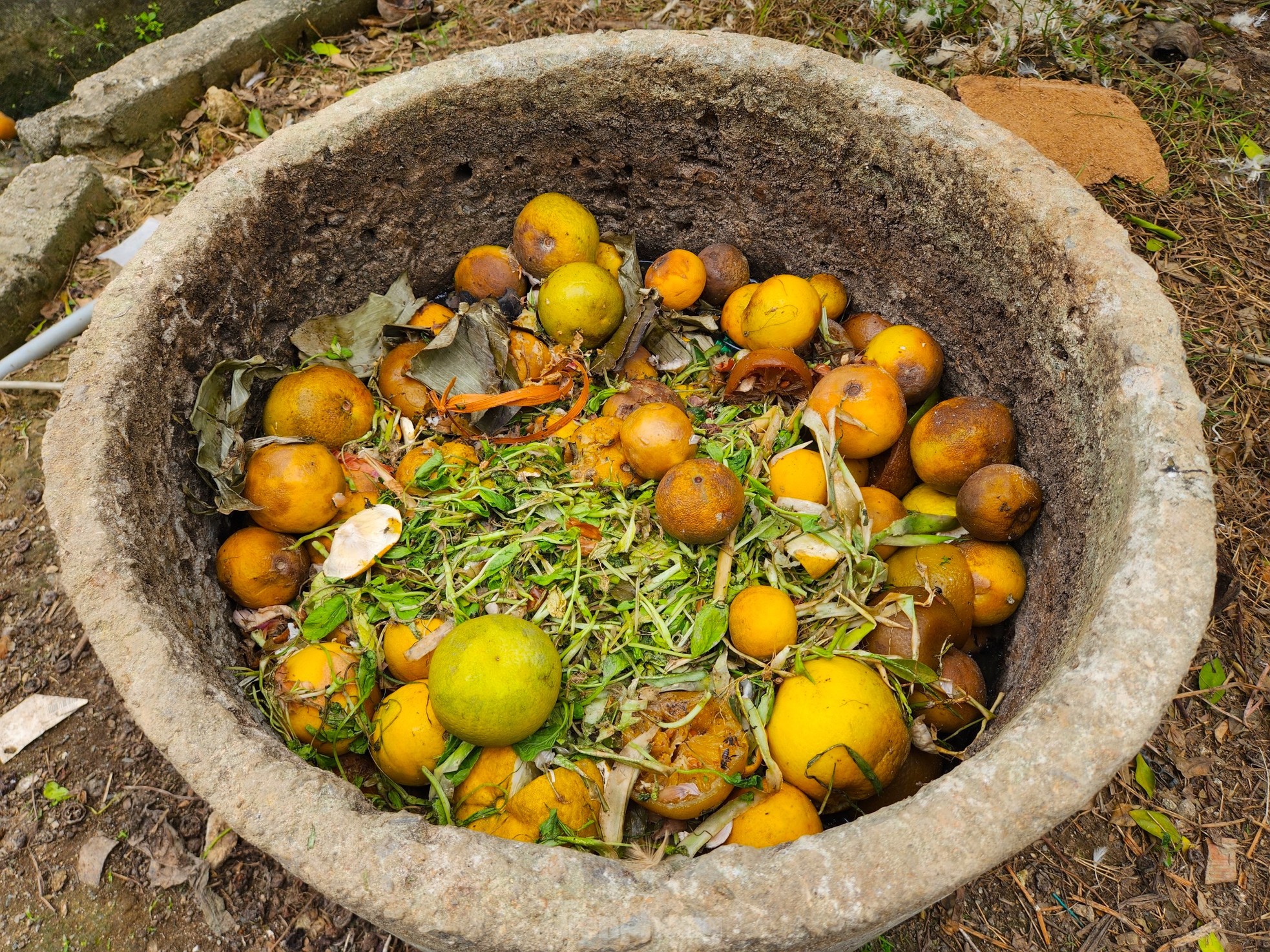 Cam 'tiến vua' 90.000 đồng/quả, vì sao nhà vườn không dám chốt đơn? - Ảnh 12