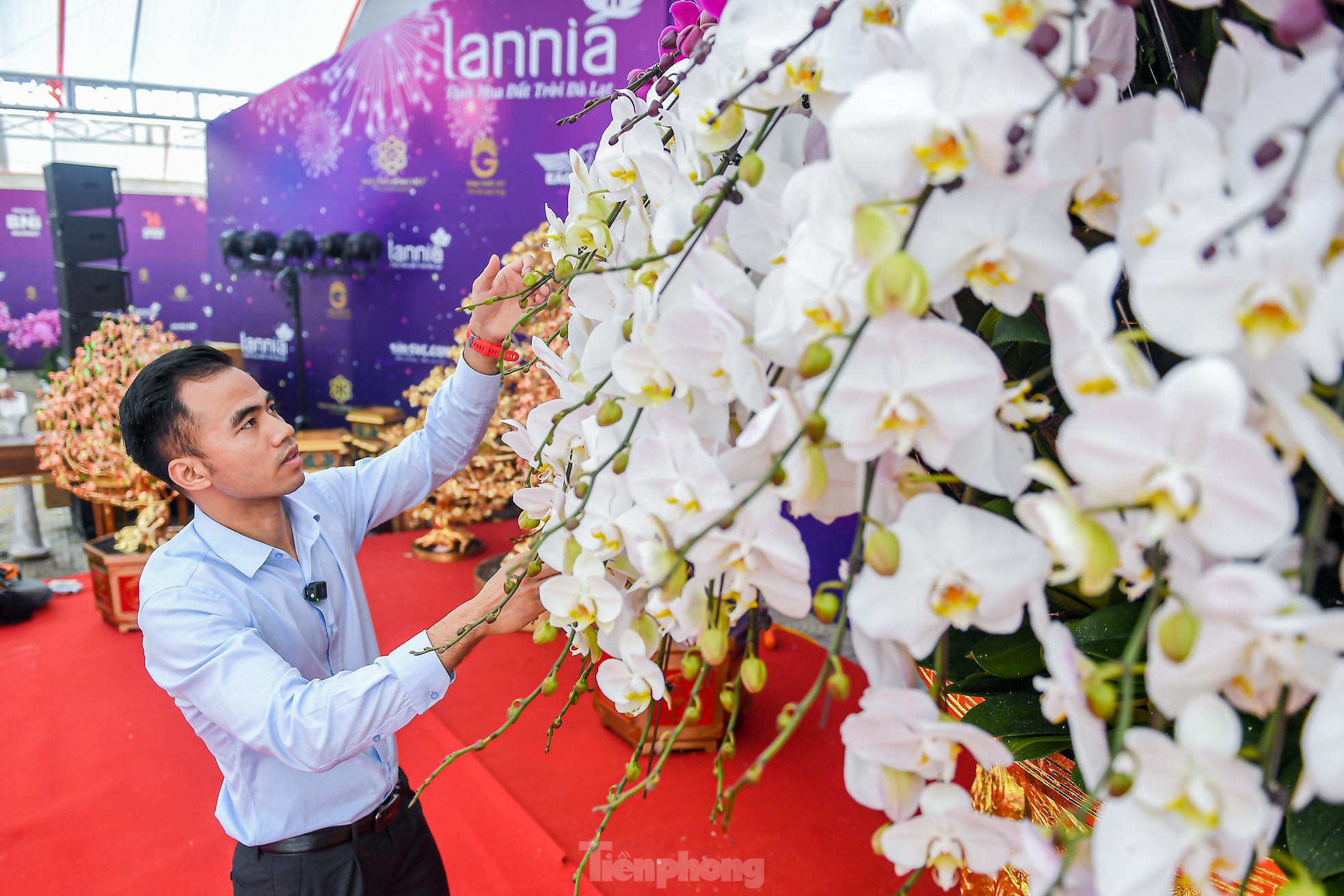 Choáng váng chậu lan hồ điệp 9 tầng giá hơn 3,8 tỷ đồng ở Hà Nội - Ảnh 3