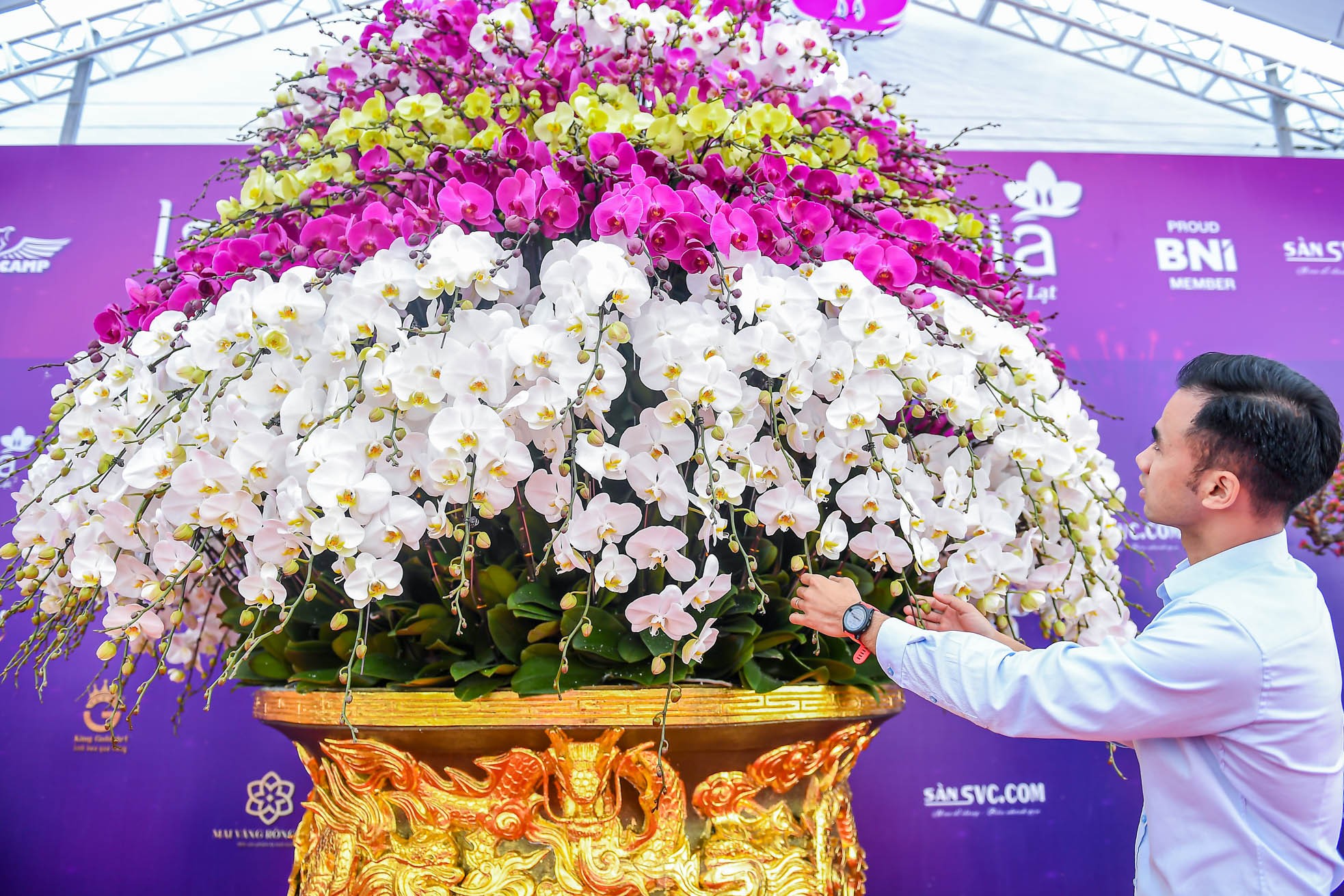 Choáng váng chậu lan hồ điệp 9 tầng giá hơn 3,8 tỷ đồng ở Hà Nội - Ảnh 4
