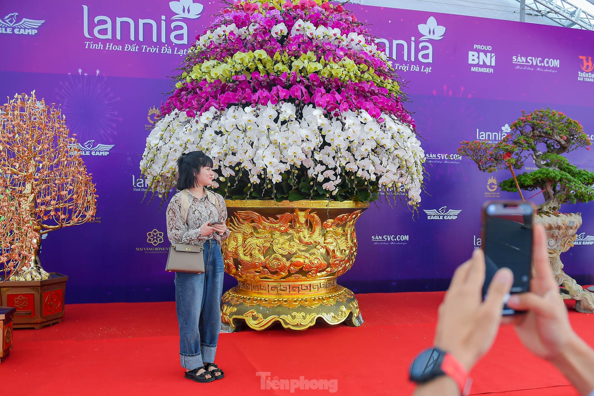 Choáng váng chậu lan hồ điệp 9 tầng giá hơn 3,8 tỷ đồng ở Hà Nội - Ảnh 9