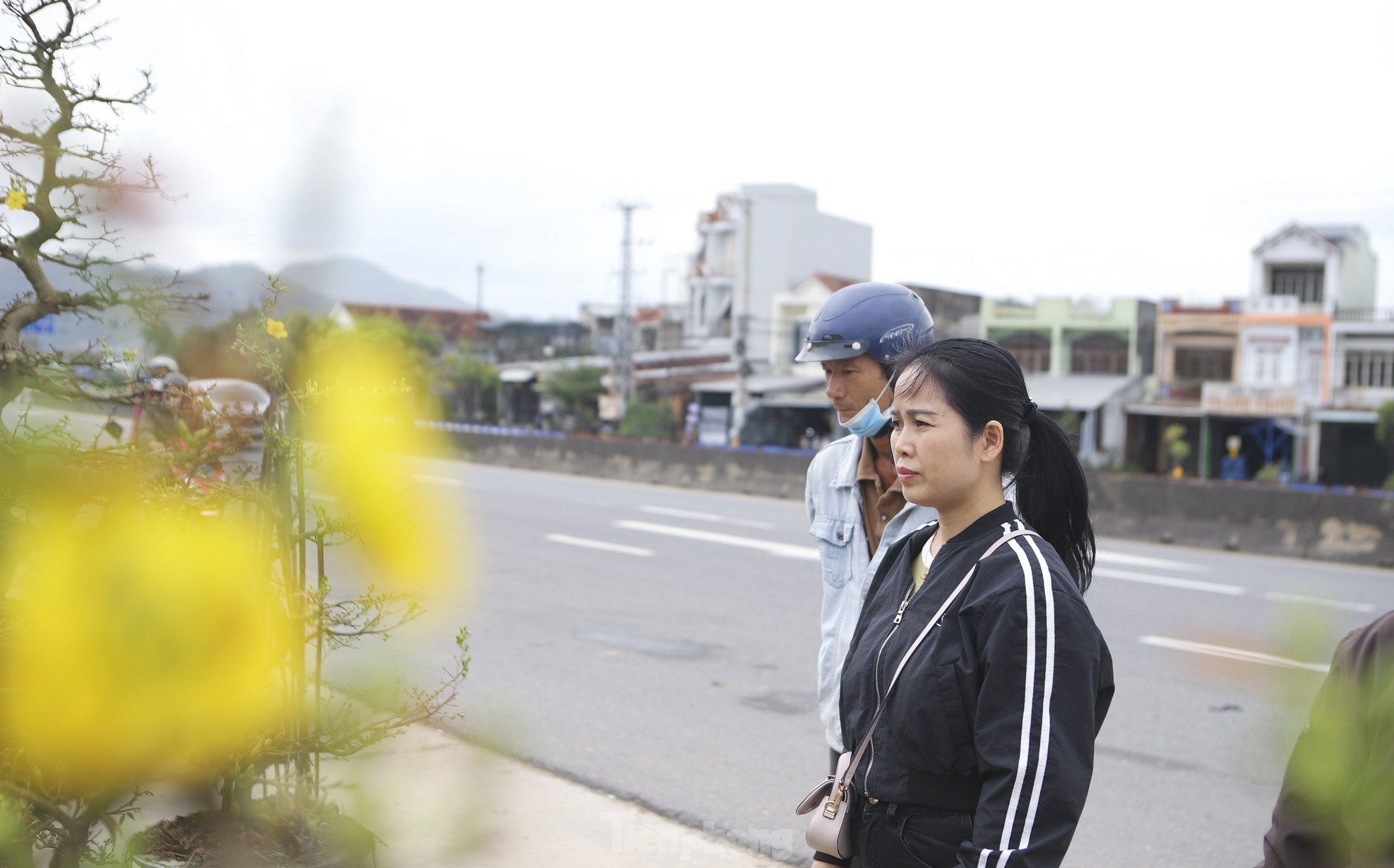 Mai vàng thủ phủ miền Trung lên đường ra Bắc vào Nam - Ảnh 2