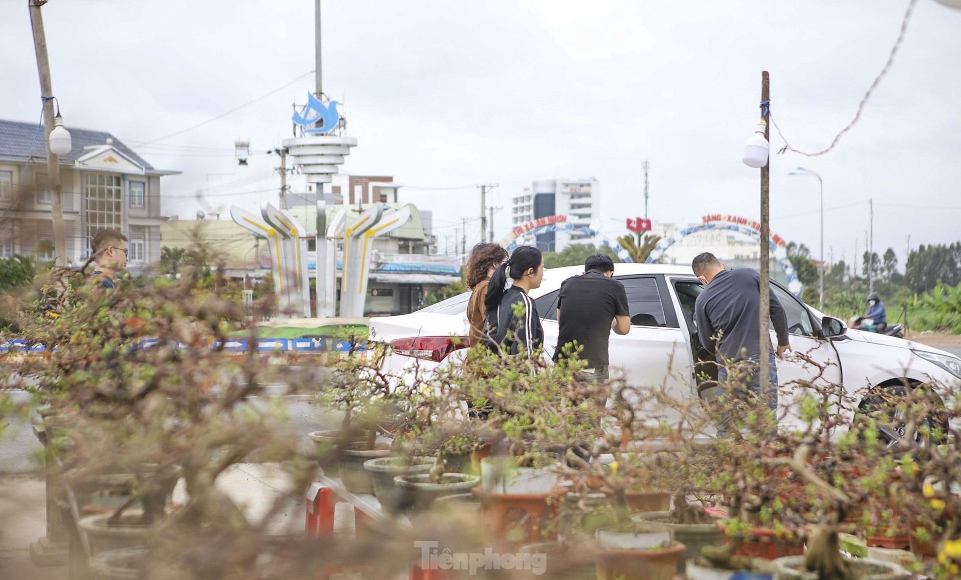 Mai vàng thủ phủ miền Trung lên đường ra Bắc vào Nam - Ảnh 12