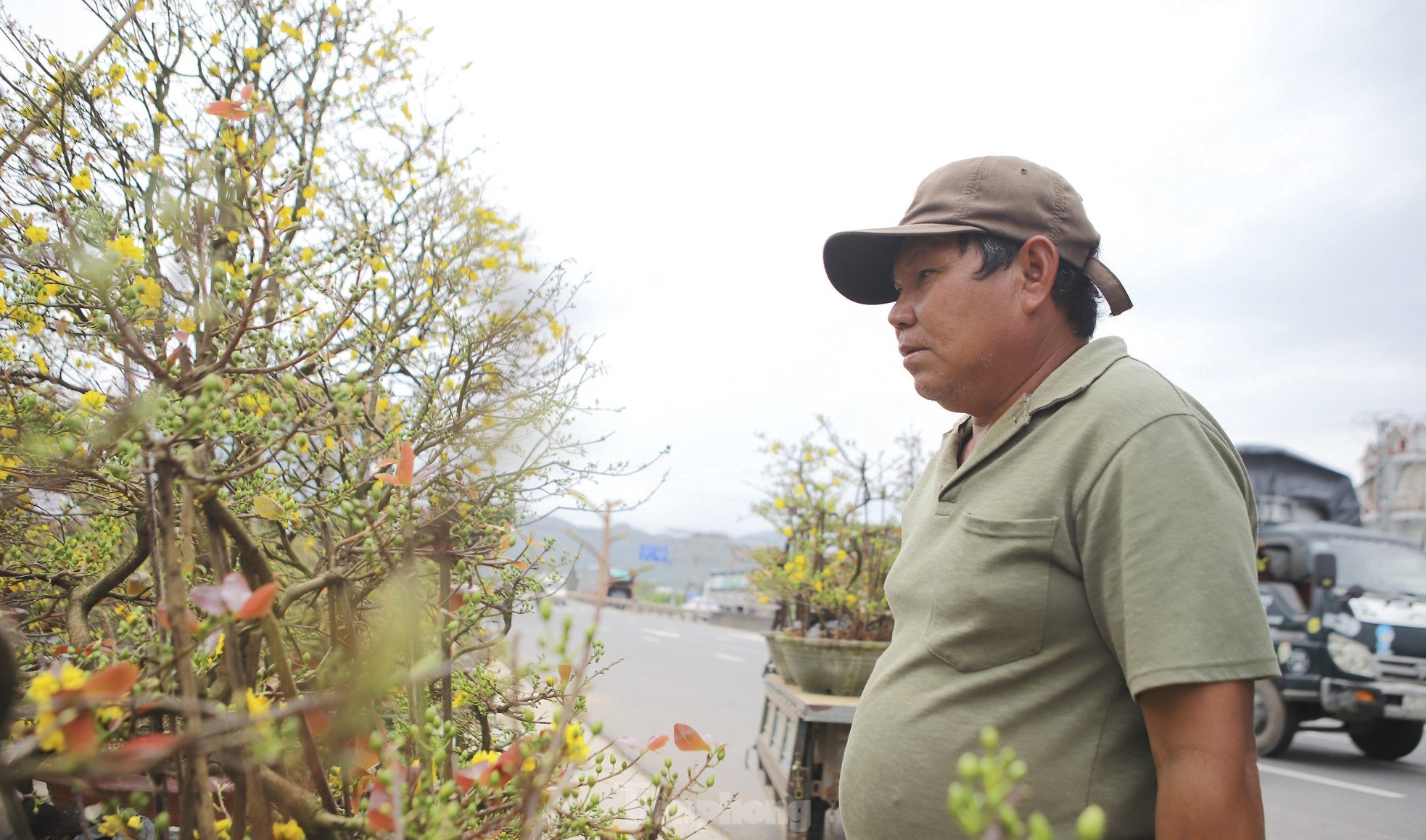 Mai vàng thủ phủ miền Trung lên đường ra Bắc vào Nam - Ảnh 8