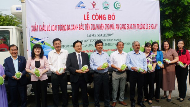 Lô xoài tượng da xanh An Giang đầu tiên xuất Úc, Mỹ - Ảnh 2