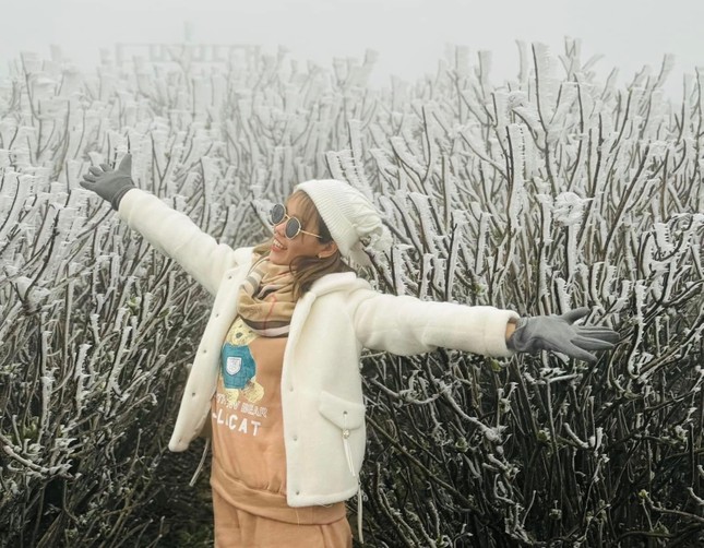 Người Hà Nội đổ xô đi 'săn' băng tuyết trên đỉnh núi Mẫu Sơn - Ảnh 3