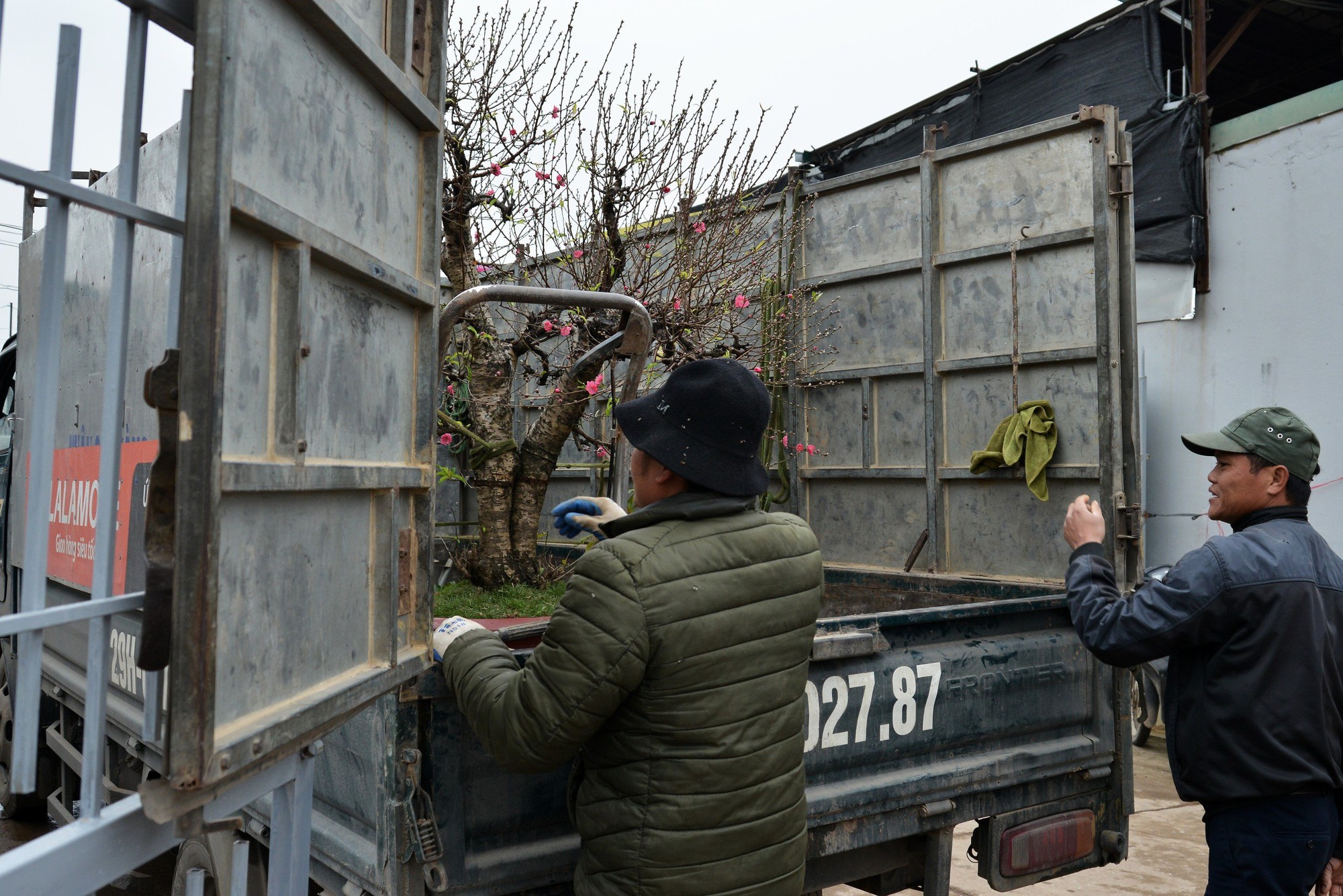 Hà Nội: Xe ôm "chuyển nghề" ship đào Tết, kiếm tiền triệu mỗi ngày - Ảnh 2