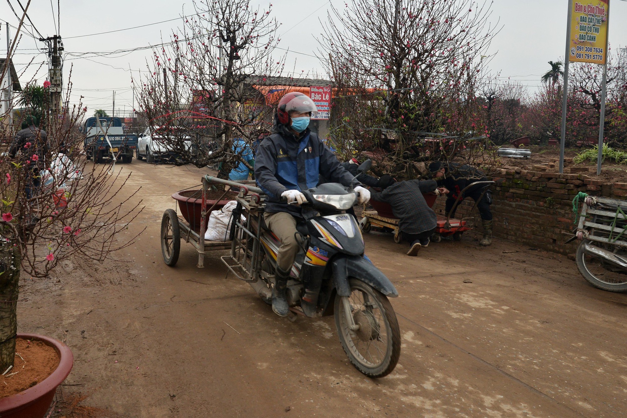 Hà Nội: Xe ôm "chuyển nghề" ship đào Tết, kiếm tiền triệu mỗi ngày - Ảnh 6