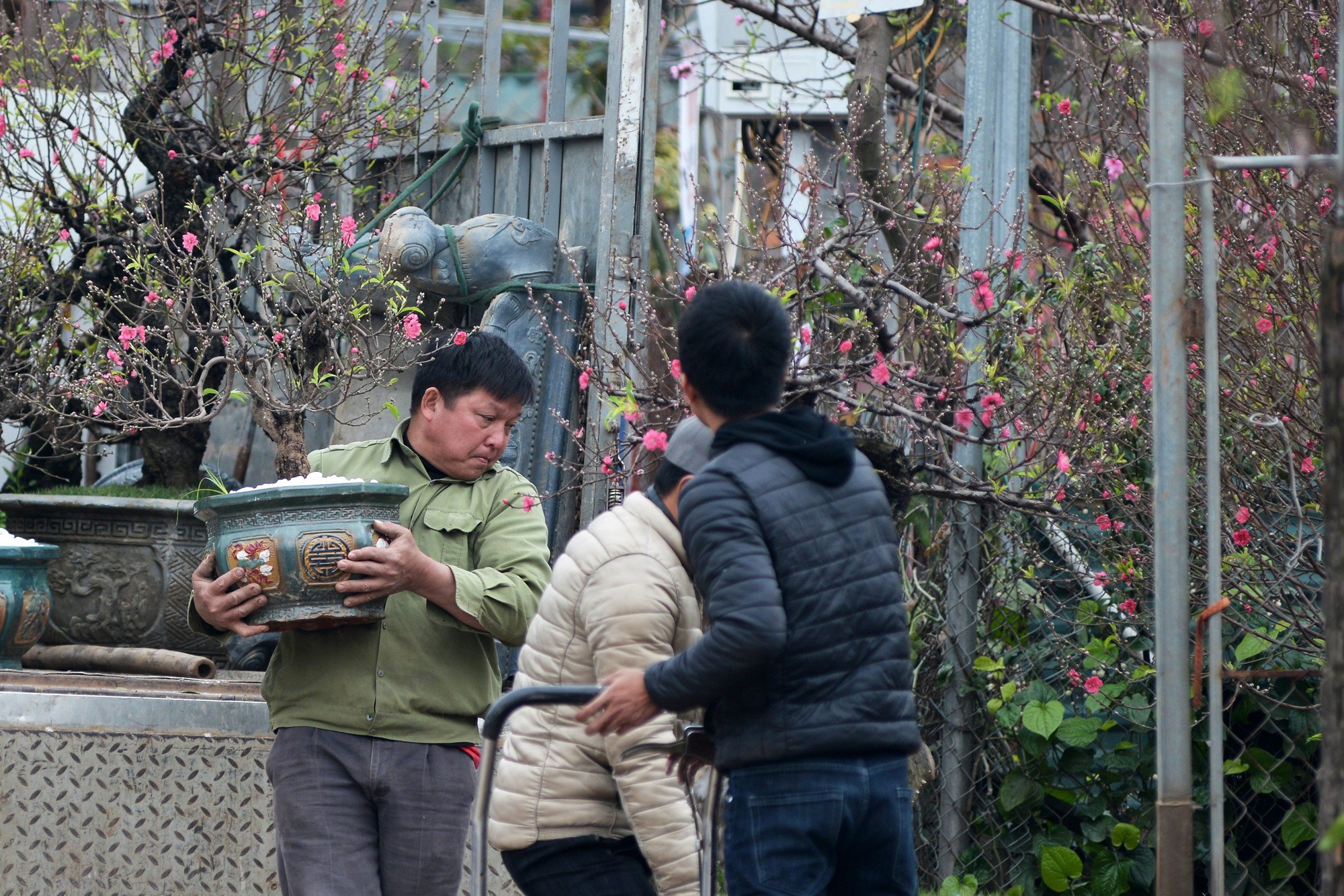 Hà Nội: Xe ôm "chuyển nghề" ship đào Tết, kiếm tiền triệu mỗi ngày - Ảnh 5