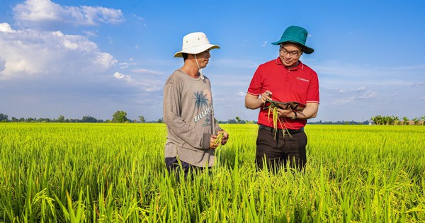 "Ông lớn" quy mô trên 2 triệu tỷ đồng giảm lãi suất cho vay ngay từ đầu năm 2024