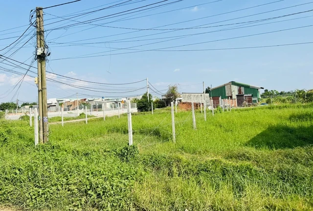 Nới thêm thời gian cấp sổ đỏ cho đất không giấy tờ - Ảnh 1