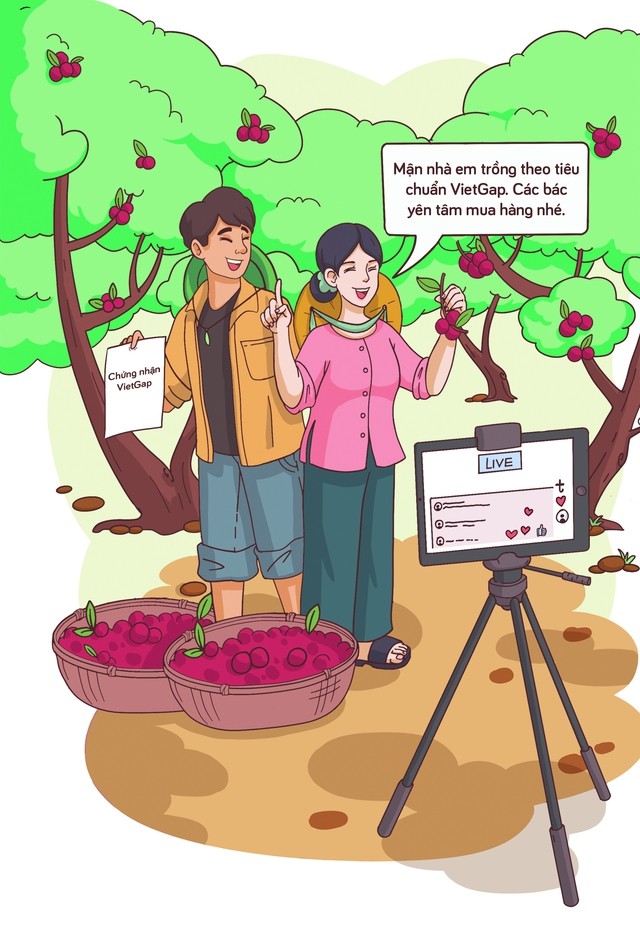 Nông dân Đồng Tháp bán xoài kiểu 4.0: Gắn mã QR Code rồi bán cả cây cho khách, nhận chăm sóc và thu hoạch hộ toàn bộ quả, ship tận cửa nhà - Ảnh 2