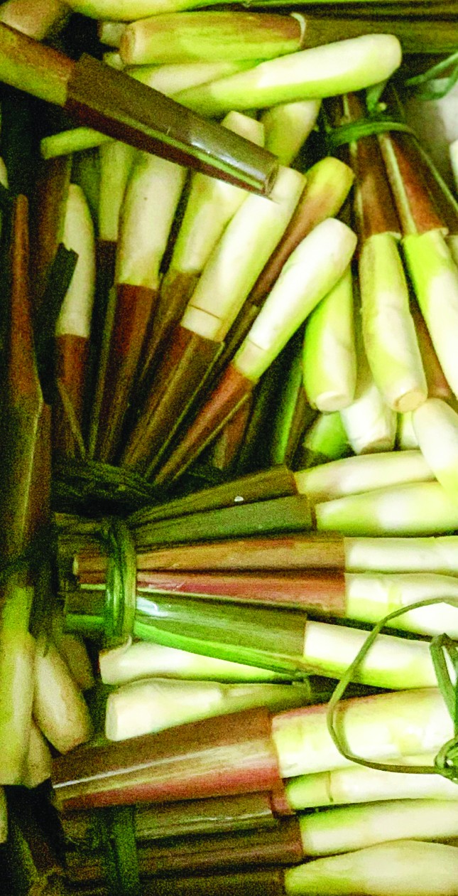 'Đùi mỹ nhân' trắng, giòn, ngon, ngọt - Ảnh 1