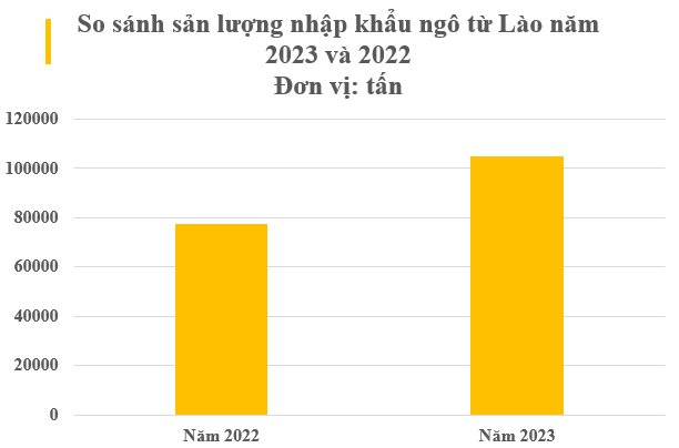 Lào tăng xuất khẩu trăm nghìn tấn loại mặt hạt này sang Việt Nam - là mặt hàng giá trị ngày càng tăng, VN nhập khẩu top 5 toàn cầu - Ảnh 2