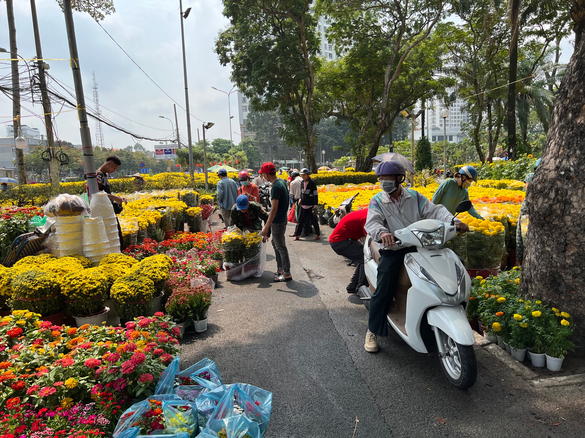 Hoa giá rẻ được ưa chuộng - Ảnh 1