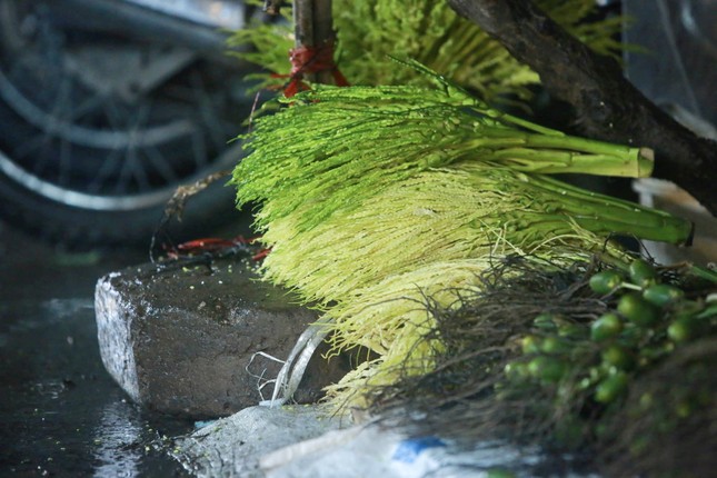 Nửa triệu đồng một buồng cau tươi ngày rằm tháng Giêng - Ảnh 7