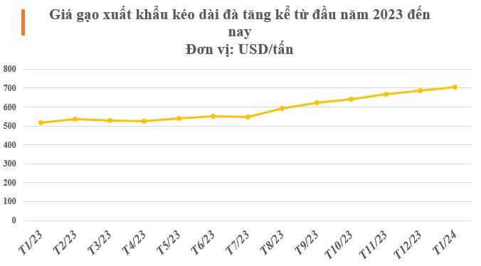 Xuất hiện 1 ‘cá mập’ mua gạo Việt với giá hơn 1.000 USD/tấn: Soán ngôi Trung Quốc trở thành khách hàng lớn thứ 2, nhập khẩu tăng hơn 16.000% - Ảnh 2