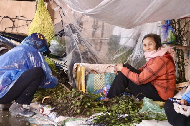 Nửa triệu đồng một buồng cau tươi ngày rằm tháng Giêng - Ảnh 1