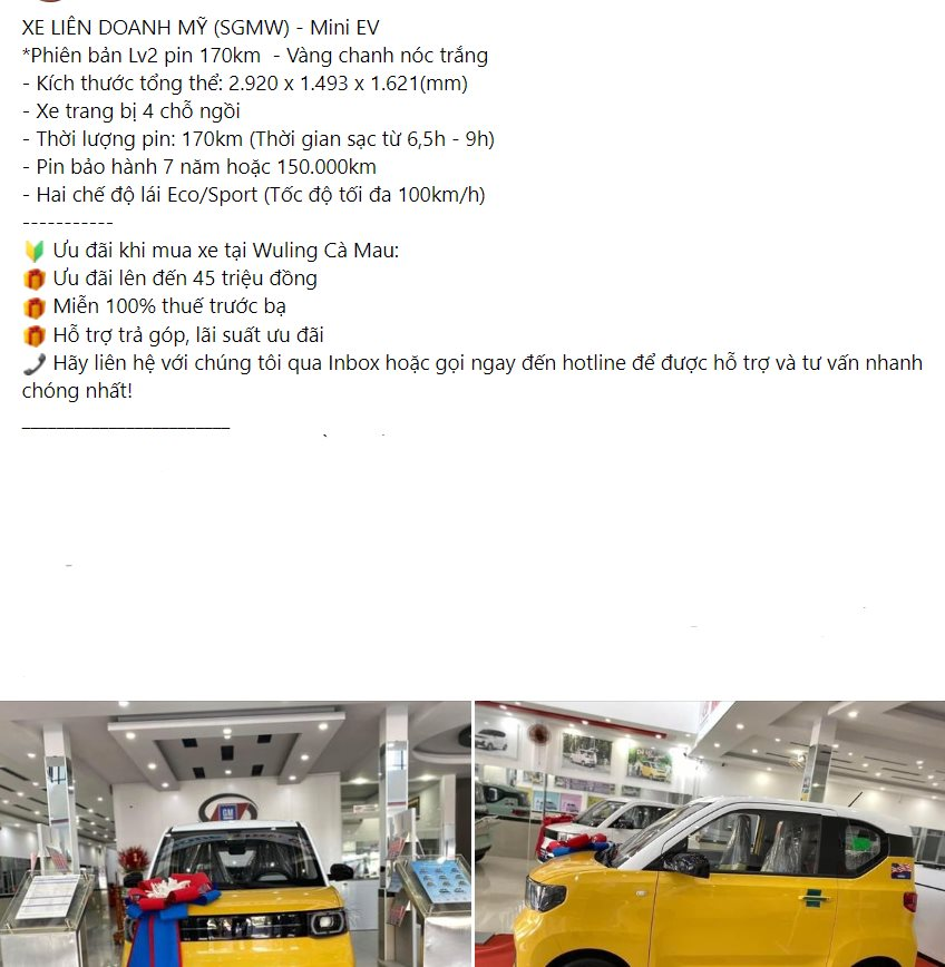 Ô tô điện rẻ nhất thị trường Việt nối đà giảm sâu chưa từng có, giá mới chỉ từ 200 triệu đồng - Ảnh 1