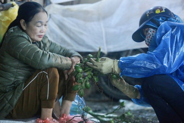 Nửa triệu đồng một buồng cau tươi ngày rằm tháng Giêng - Ảnh 2