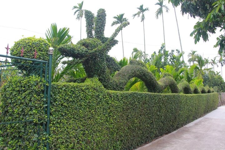 Ngắm linh vật xuân Giáp Thìn 2024 bằng cây duối độc nhất vô nhị - Ảnh 10