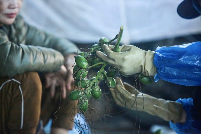 Nửa triệu đồng một buồng cau tươi ngày rằm tháng Giêng - Ảnh 3