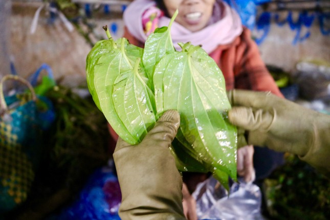 Nửa triệu đồng một buồng cau tươi ngày rằm tháng Giêng - Ảnh 4