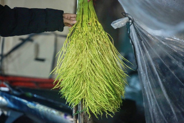 Nửa triệu đồng một buồng cau tươi ngày rằm tháng Giêng - Ảnh 8