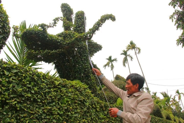 Ngắm linh vật xuân Giáp Thìn 2024 bằng cây duối độc nhất vô nhị - Ảnh 3
