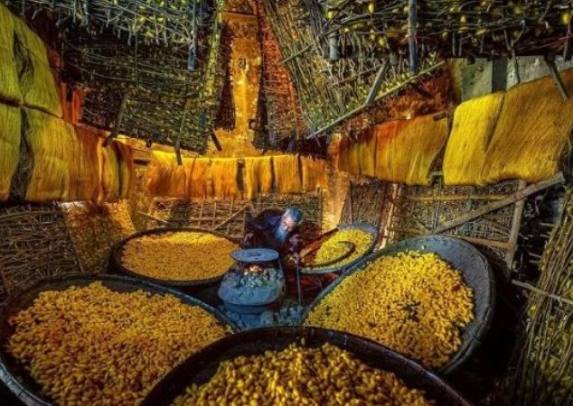 Mặt hàng chủ lực của Việt Nam được người Nga mạnh tay săn lùng: Gần một nửa thế giới ‘đặt gạch’ mua hàng, nước ta là 1 trong 3 ‘ông trùm’ của thế giới - Ảnh 1