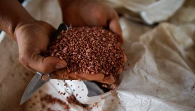 Giá cực rẻ, mặt hàng này từ Thái Lan về Việt Nam tăng gấp 3 lần, là cứu tinh giúp Việt Nam ‘hốt bạc’ từ Trung Quốc - Ảnh 1