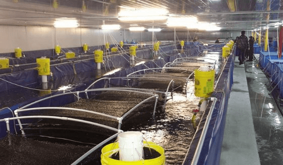 Trung Quốc bất ngờ tăng nhập khẩu gấp 3 lần mặt hàng này của Việt Nam: Nước ta là 'ông trùm' đứng thứ 2 thế giới, hơn 100 quốc gia đặt gạch mua hàng - Ảnh 1