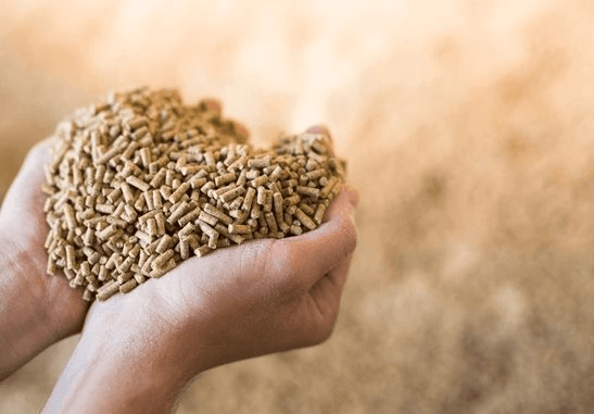 Mỹ chi tiền mua ‘gà đẻ trứng vàng’ của Việt Nam gấp 5 lần trong tháng đầu năm: Trung Quốc, Campuchia đua nhau gom hàng, thu về hơn 80 triệu USD trong tháng 1 - Ảnh 1