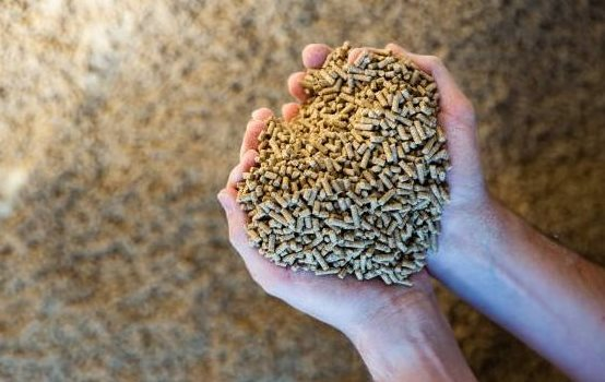 Trung Quốc săn lùng mặt hàng mới nổi của Việt Nam dù có sản lượng đứng đầu thế giới: Thu về hơn 1 tỷ USD năm qua, Campuchia, Malaysia cũng tham gia cuộc đua - Ảnh 1