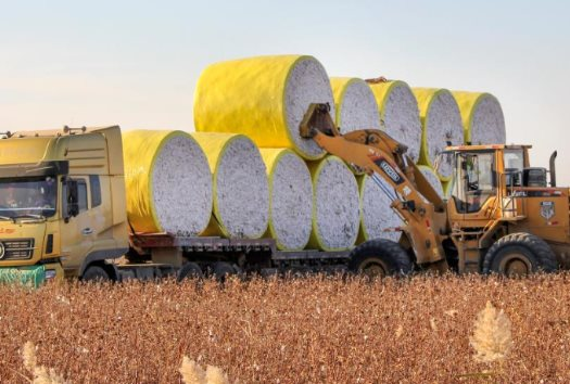 Một mặt hàng từ Úc đổ bộ Việt Nam với giá rẻ chưa từng có, nước ta đứng top 3 'ông trùm' nhập khẩu của thế giới - Ảnh 1