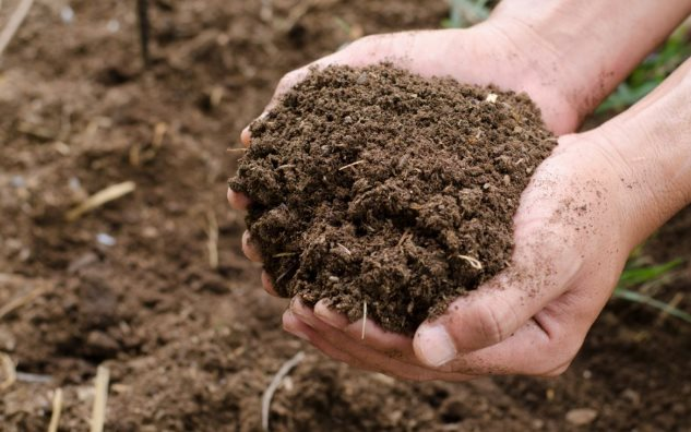 Giá rẻ cực hấp dẫn, một mặt hàng từ Lào đổ bộ Việt Nam trong năm qua, được mệnh danh ‘bảo bối nông sản’ - Ảnh 1