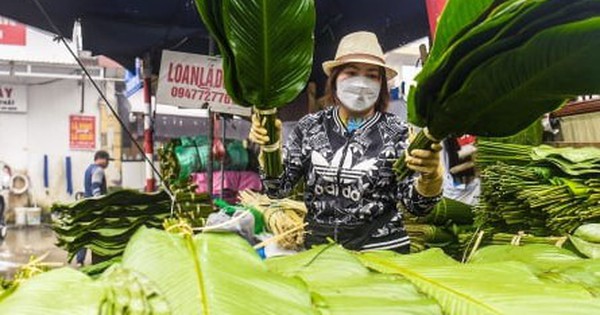 Chợ lá dong lâu đời nhất Hà Nội nhộn nhịp ngày giáp Tết