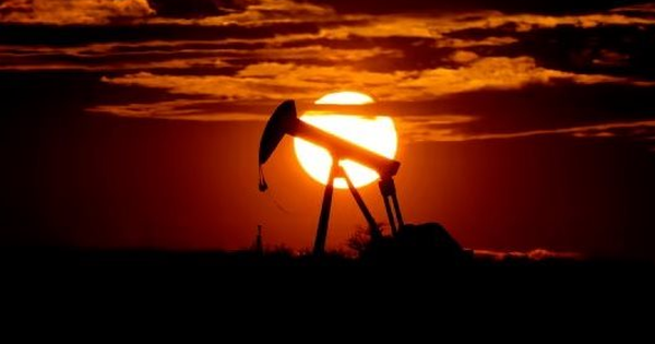 Từng kêu gọi ‘tẩy chay’ dầu Nga, quốc gia này bị phát hiện vẫn âm thầm mua hàng chục nghìn tấn dầu, sức hút của dầu giá rẻ ngày càng tăng